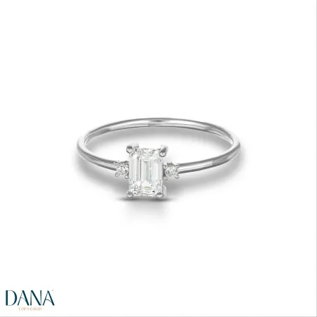Dana ANDFI01OBPBN16 - orola